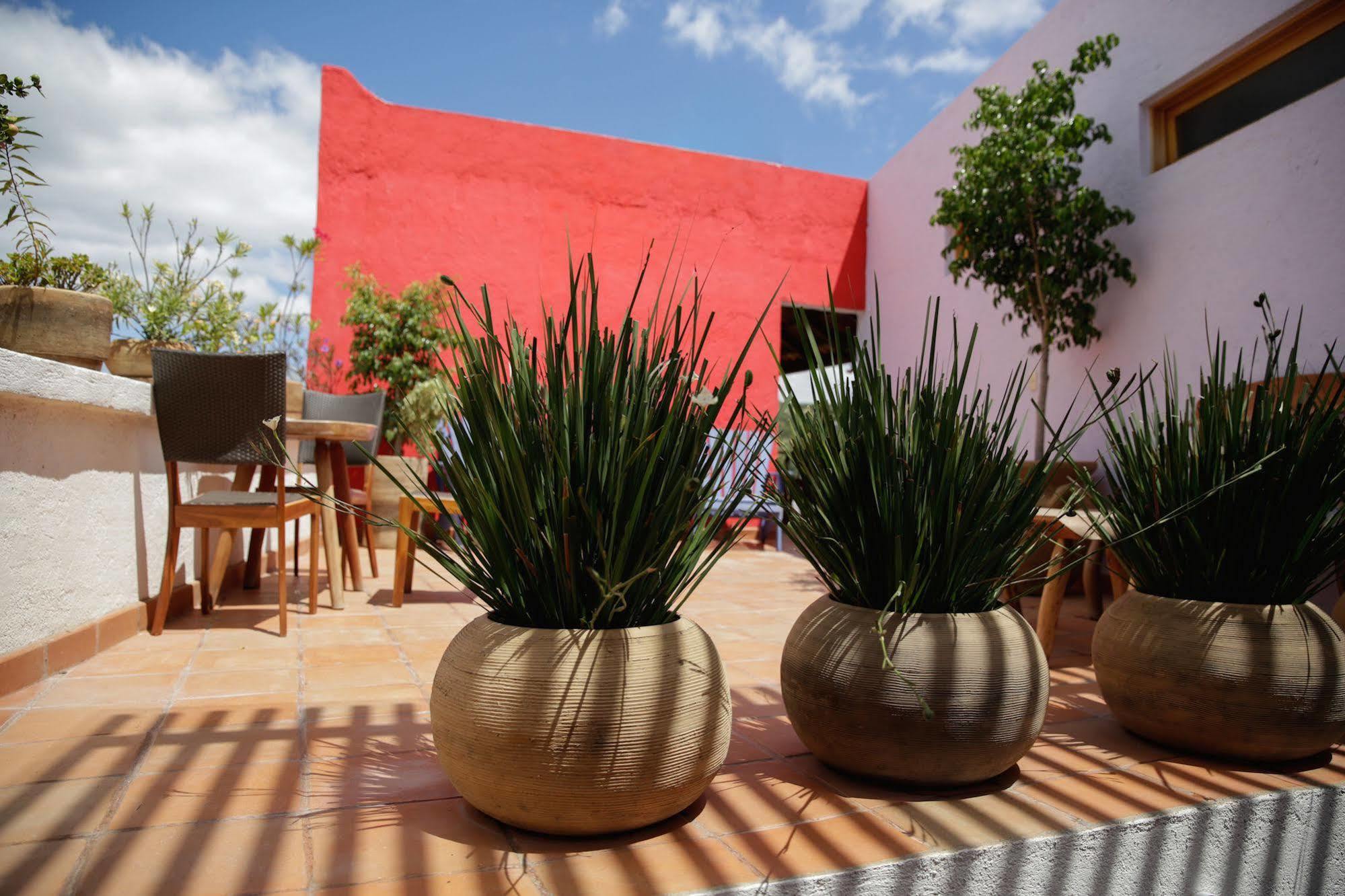 Casa Tsaya Hotel Boutique Bernal Zewnętrze zdjęcie